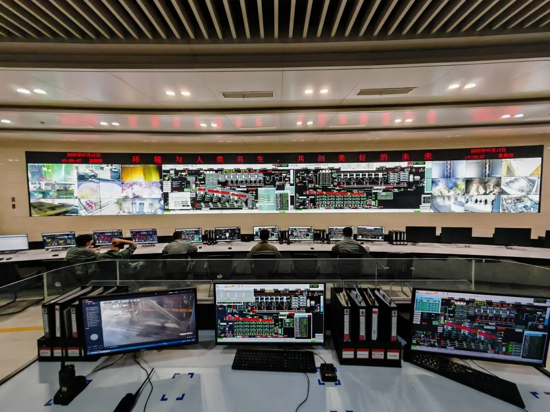 17530812567296916HgY.jpg 1753081244410.jpg